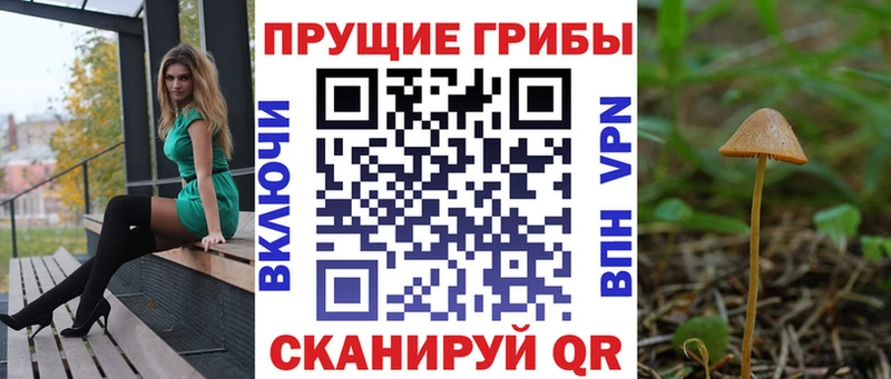 Купить  Улан-Удэ  Галлюциногенные грибы ЛСД 